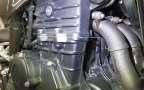 TRIUMPH SPEED TRIPLE RS 2019