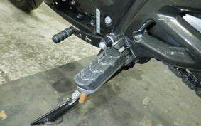 BMW G310R 2021