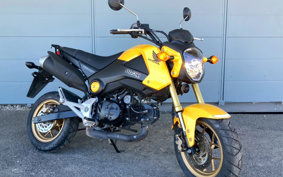 HONDA GROM JC61