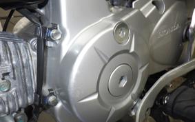 HONDA ｸﾛｽｶﾌﾞ50 AA06