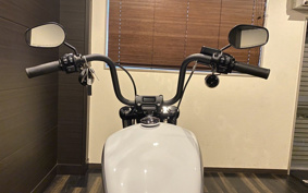 HARLEY FXBBS 2021 YYK