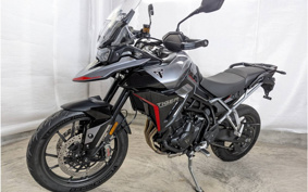 TRIUMPH TIGER 900 2024 TRC81D