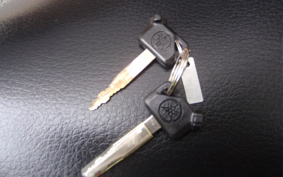 YAMAHA VOX DELUXE  SA31J