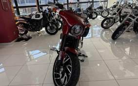HARLEY FLSB 2019 YMJ