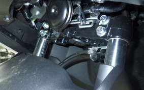 YAMAHA X FORCE SG79J