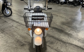 HONDA  BENLY  PRO  AA05