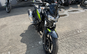KAWASAKI Z250ABS EX250P