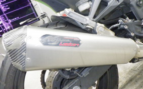 KAWASAKI NINJA 250R 2020 EX250K