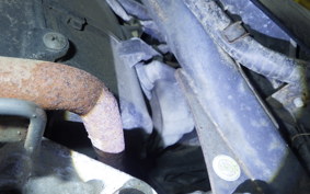 HONDA TODAY 2017 AF61