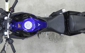 YAMAHA MT-25