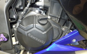 KAWASAKI Z250 A 2016 ER250C