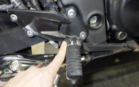 KAWASAKI NINJA 250R 2020 EX250K