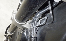 YAMAHA WR250X 2024 DG15J