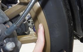 HARLEY FXDLS1800 2016