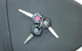 YAMAHA TENERE 700 2024 DM13J