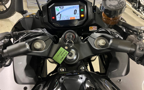 KAWASAKI NINJA 1000 SX 2024 ZXT02K