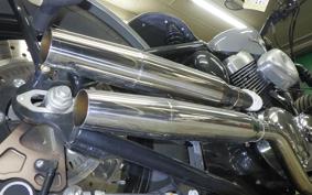 OTHER +UNREGISTERED MODEL by BDS250 2010