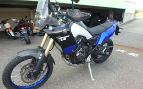 YAMAHA TENERE 700 2020 DM09J