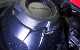 KAWASAKI NINJA 1000SX 2024 ZXT02K