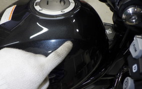 HONDA REBEL 1100 DCT 2022 SC83