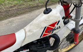 YAMAHA TY250 R 38V