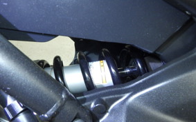 YAMAHA MT-09 2015 RN34J