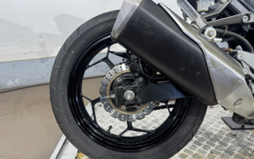 KAWASAKI NINJA 250 EX250L