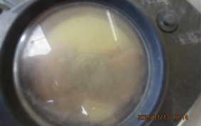 YAMAHA CYGNUS 125 X SE44J