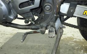 YAMAHA TDR250 2024 2YK