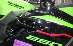 KAWASAKI NINJA 250 2 2019 EX250P