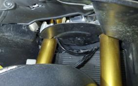 APRILIA RS660 2021