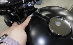 KAWASAKI W800-2ｽﾄﾘｰﾄ 2019 EJ800B