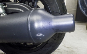 OTHER +ENFIELD ｼｮｯﾄｶﾞﾝ650 2024