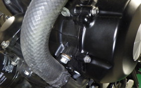 KAWASAKI Z900RS SE 2024 ZR900K