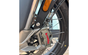TRIUMPH TIGER 900 RALLY PRO 2025 TRC83D