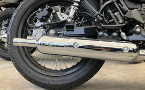 KAWASAKI W800 CAFE 2021 EJ800E
