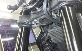 DUCATI SCRAMBLER 2024