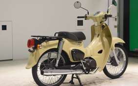 HONDA C50 SUPER CUB 1980 AA09