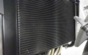 HONDA CB650R E-Clutch 2024 RH17