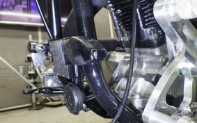 OTHER +UNREGISTERED MODEL by BDS1340 2026