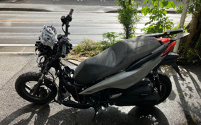 HONDA FORZA 250 MF17