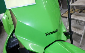 KAWASAKI KX250 2002 KX252E