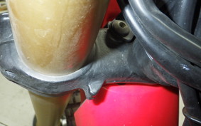 HONDA CRF250 RALLY A 2024 MD44