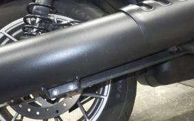 HARLEY RH975S 2024