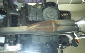 HONDA HORNET 250 2025 MC31