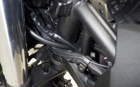 KAWASAKI Z250 Gen.2 2024 EX250Y