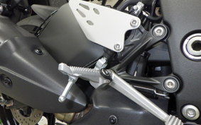 KAWASAKI NINJA ZX-6R A 2025 ZX636J