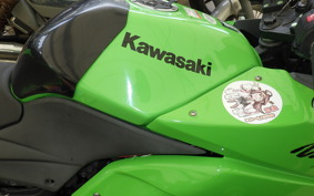 KAWASAKI NINJA 250R 2014 EX250K
