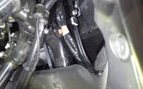 YAMAHA N-MAX SED6J