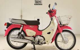 HONDA C110 SUPER CUB